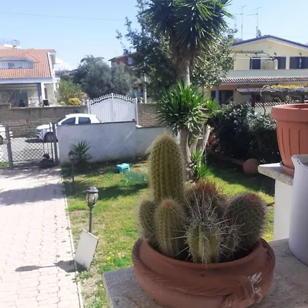 Séjour chez l'habitant Pasqualino Villas *